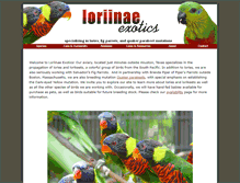 Tablet Screenshot of loriinae.com